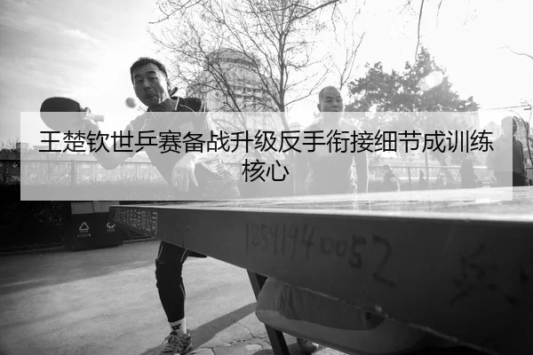 王楚钦世乒赛备战升级反手衔接细节成训练核心
